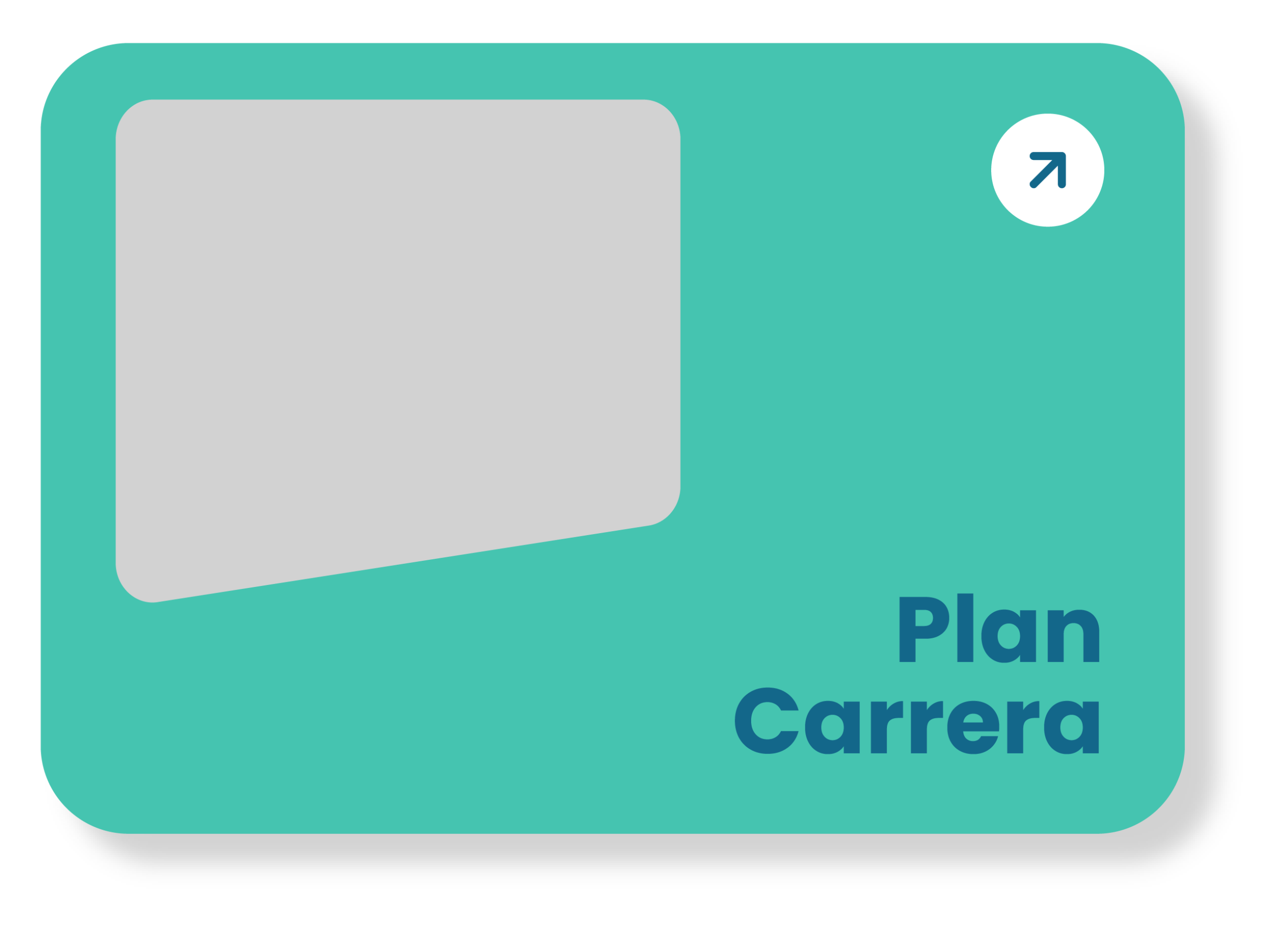 Plan Carrera